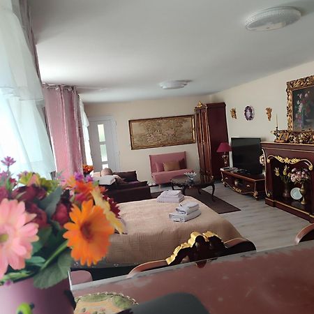 Gite Luxury A Soultzeren 외부 사진
